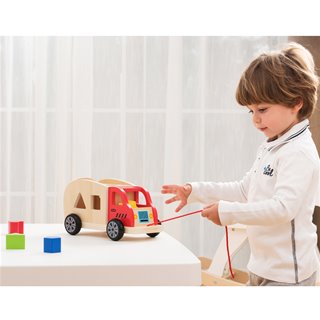 Shape sorting truck